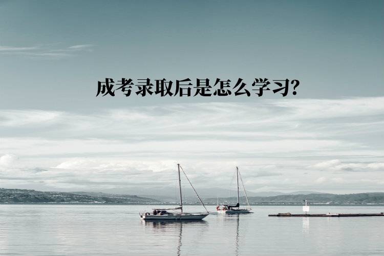 成考錄取后是怎么學(xué)習(xí)？