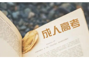 成人高考報名條件的行業(yè)認(rèn)可與國家職業(yè)資格證書對接問題解析