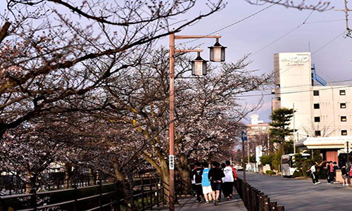 名校趴日本愛知縣立藝術(shù)大學怎么樣