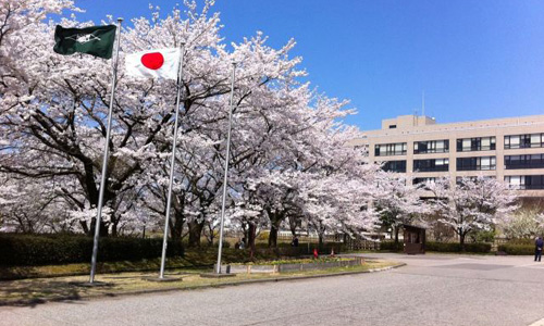 日本藝術留學研究生費用