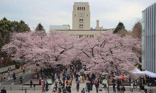 日本大學怎么樣？