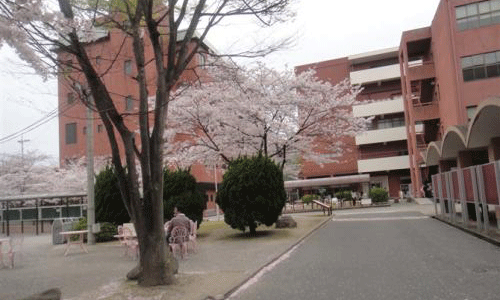 日本九州大學怎么樣